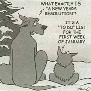 A Holistic New Year Resolution
